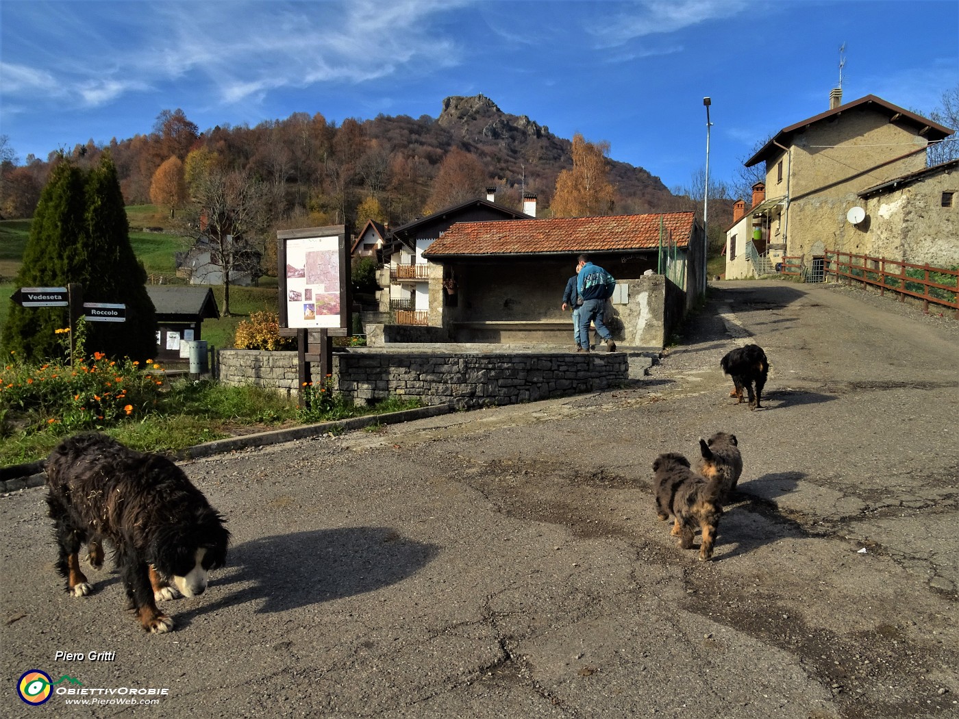 16 La sentinella guardiana di Reggetto in servizio con la famigliola.JPG